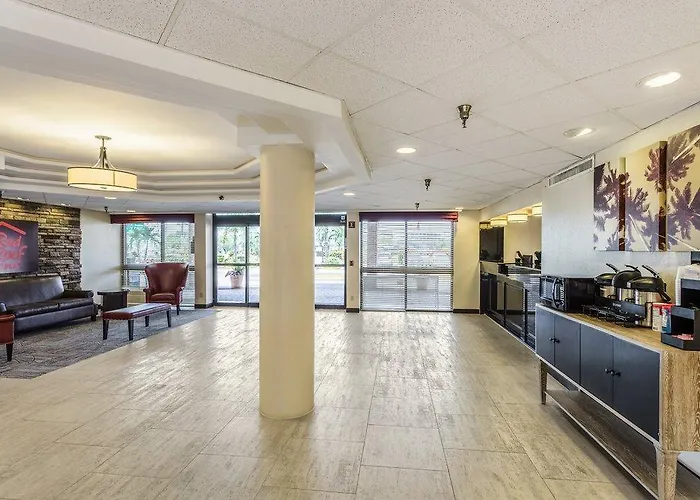 Dog Friendly Hotels in Pinellas Park