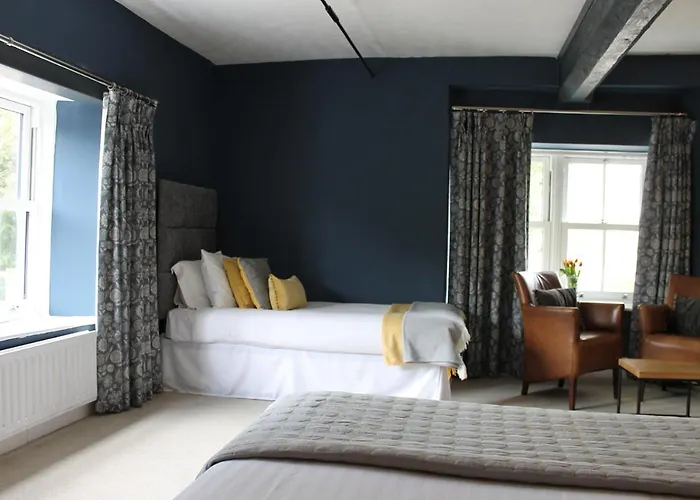 Dog Friendly Hotels in Taunton