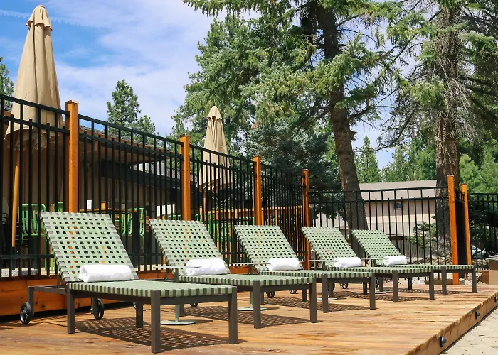 Dog Friendly Hotels in Bear Valley (Alpine County)
