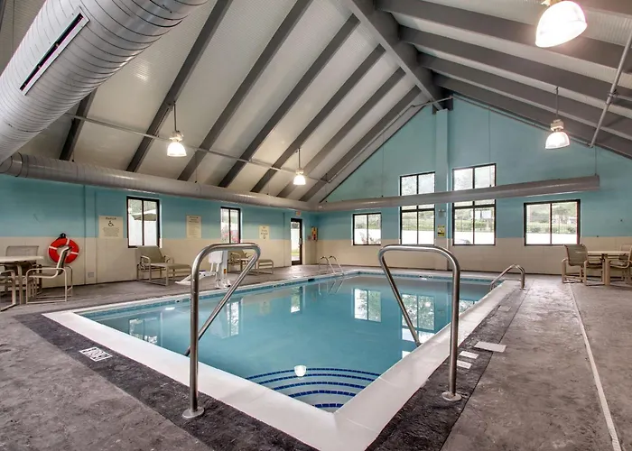 Dog Friendly Hotels in Morehead
