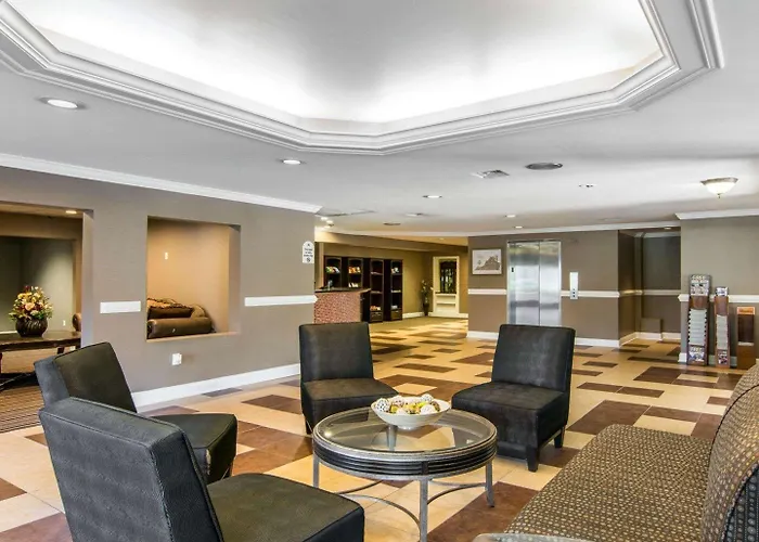 Dog Friendly Hotels in Williamsburg