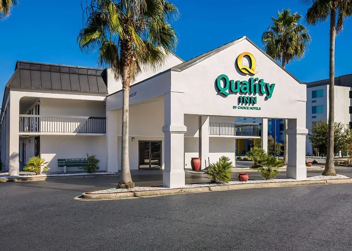 Dog Friendly Hotels in Savannah