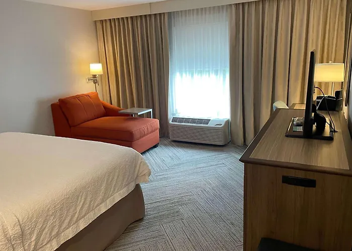 Dog Friendly Hotels in Fredericton