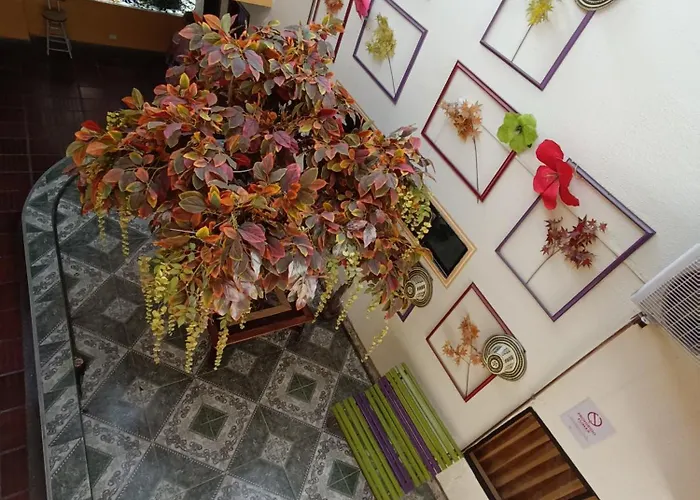 Dog Friendly Hotels in Barranquilla (Atlantico)