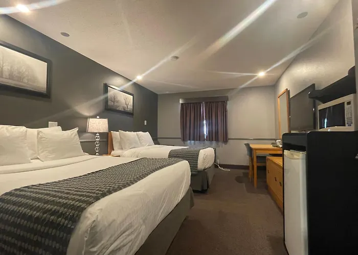 Dog Friendly Hotels in Brandon