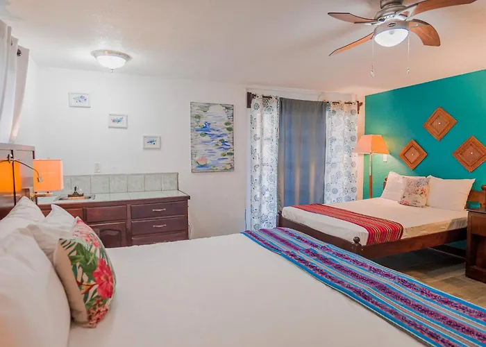 Dog Friendly Hotels in San Pedro (Ambergris Caye)