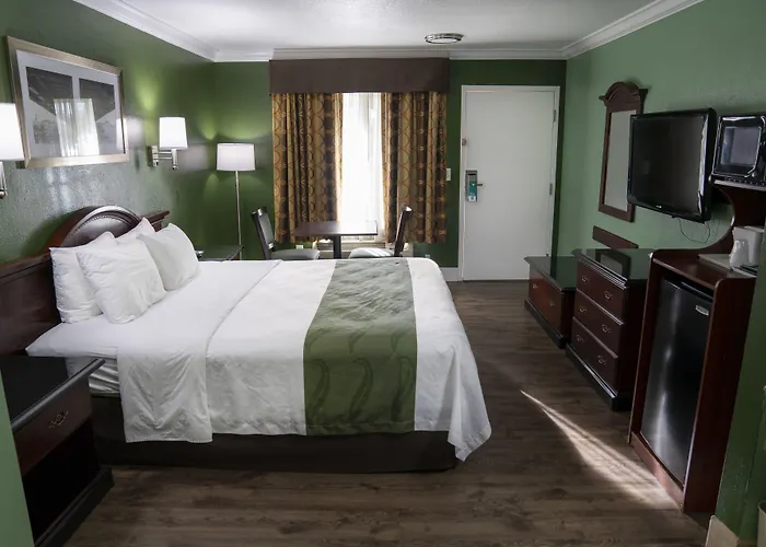 Dog Friendly Hotels in Hemet