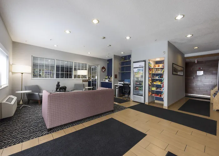 Dog Friendly Hotels in Duluth