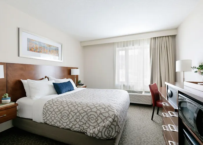 Dog Friendly Hotels in Jasper