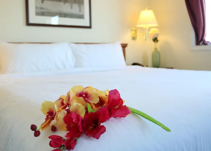 Dog Friendly Hotels in Fort Mcmurray