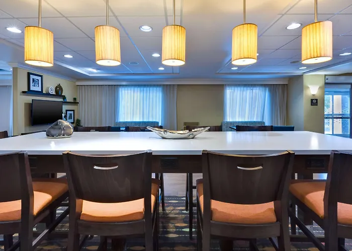 Dog Friendly Hotels in Waterbury