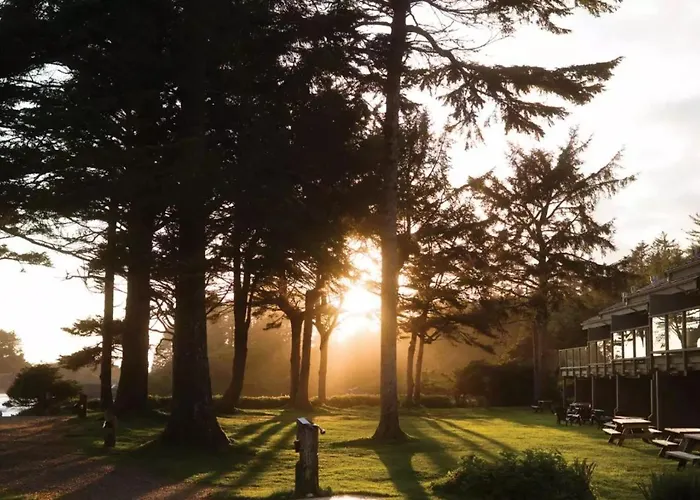 Dog Friendly Hotels in Tofino