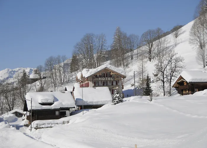 Dog Friendly Hotels in Les Diablerets