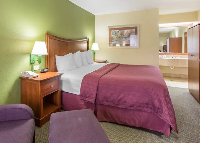 Dog Friendly Hotels in Knoxville