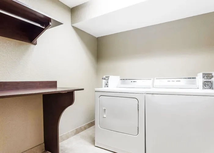 Dog Friendly Hotels in Macon