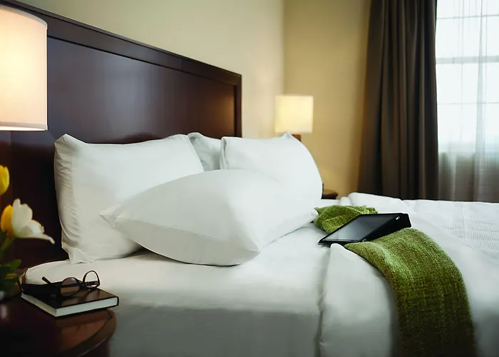 Dog Friendly Hotels in Minot