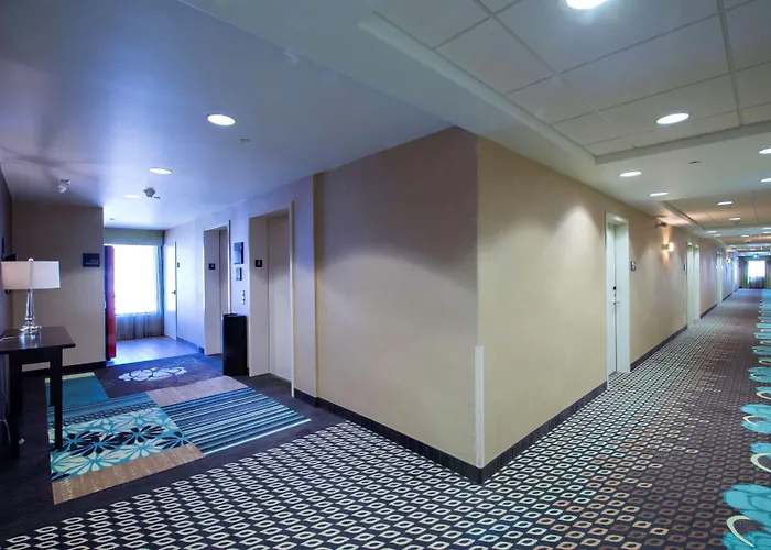 Dog Friendly Hotels in Saskatoon