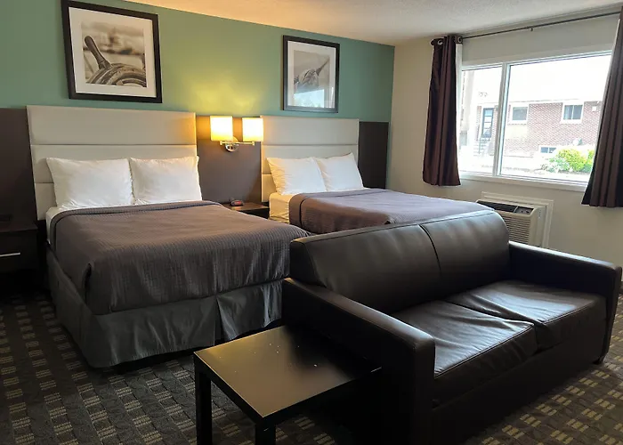 Dog Friendly Hotels in Bracebridge