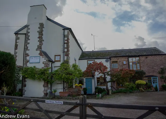 Dog Friendly Hotels in Ross-on-Wye