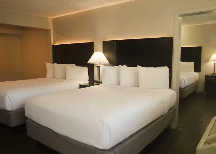 Dog Friendly Hotels in Redding