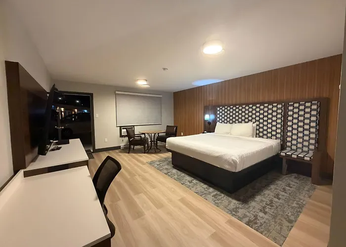 Dog Friendly Hotels in Parksville