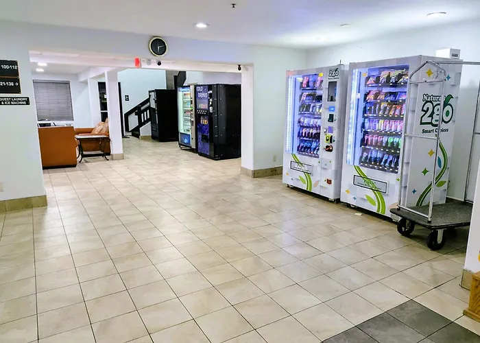 Dog Friendly Hotels in Apache Junction