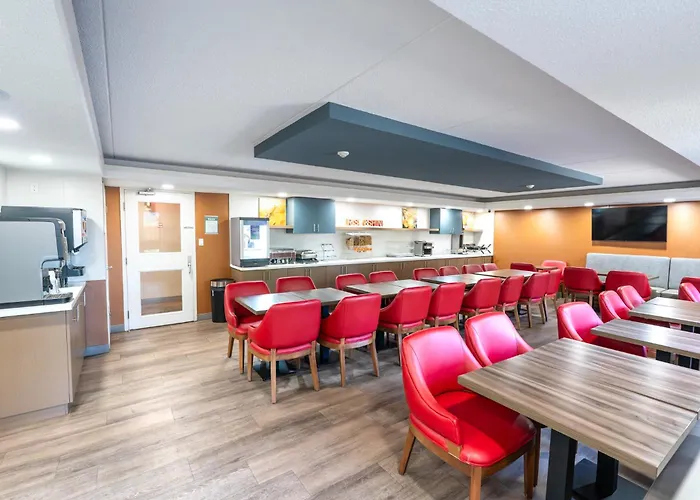 Dog Friendly Hotels in London