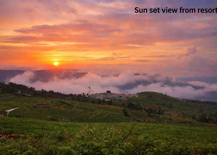 Dog Friendly Hotels in Ooty