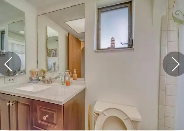 Dog Friendly Hotels in Cape Coral