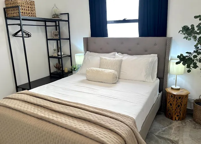 Dog Friendly Hotels in Belize City