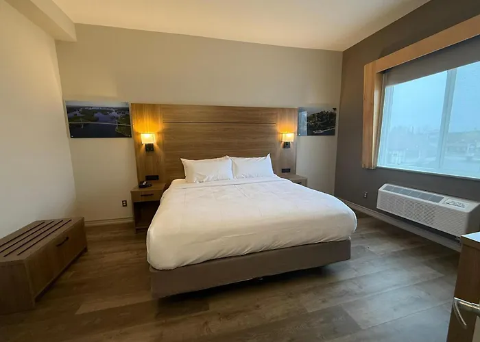 Dog Friendly Hotels in Gananoque