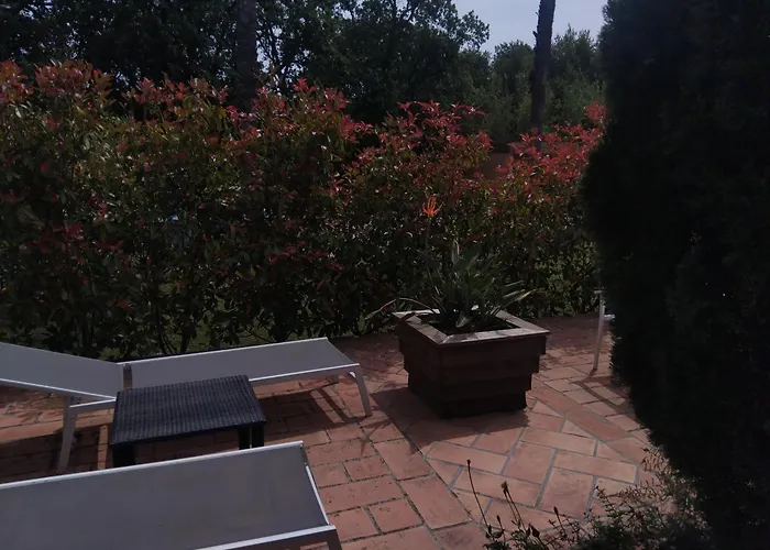 Dog Friendly Hotels in Ramatuelle