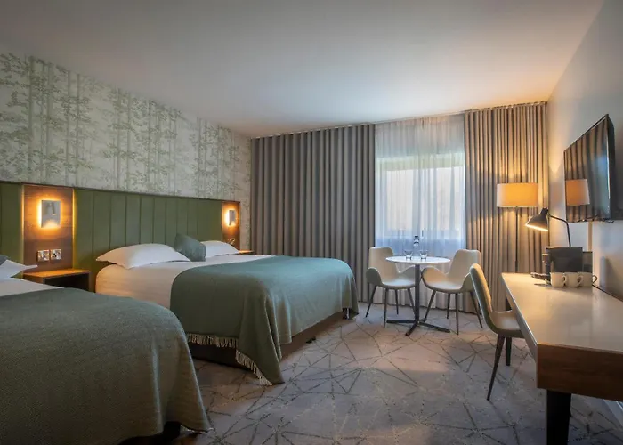 Dog Friendly Hotels in Wexford