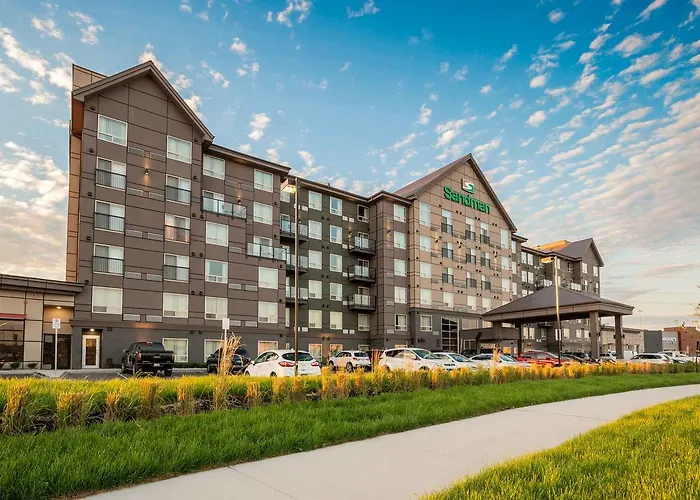 Dog Friendly Hotels in Hamilton